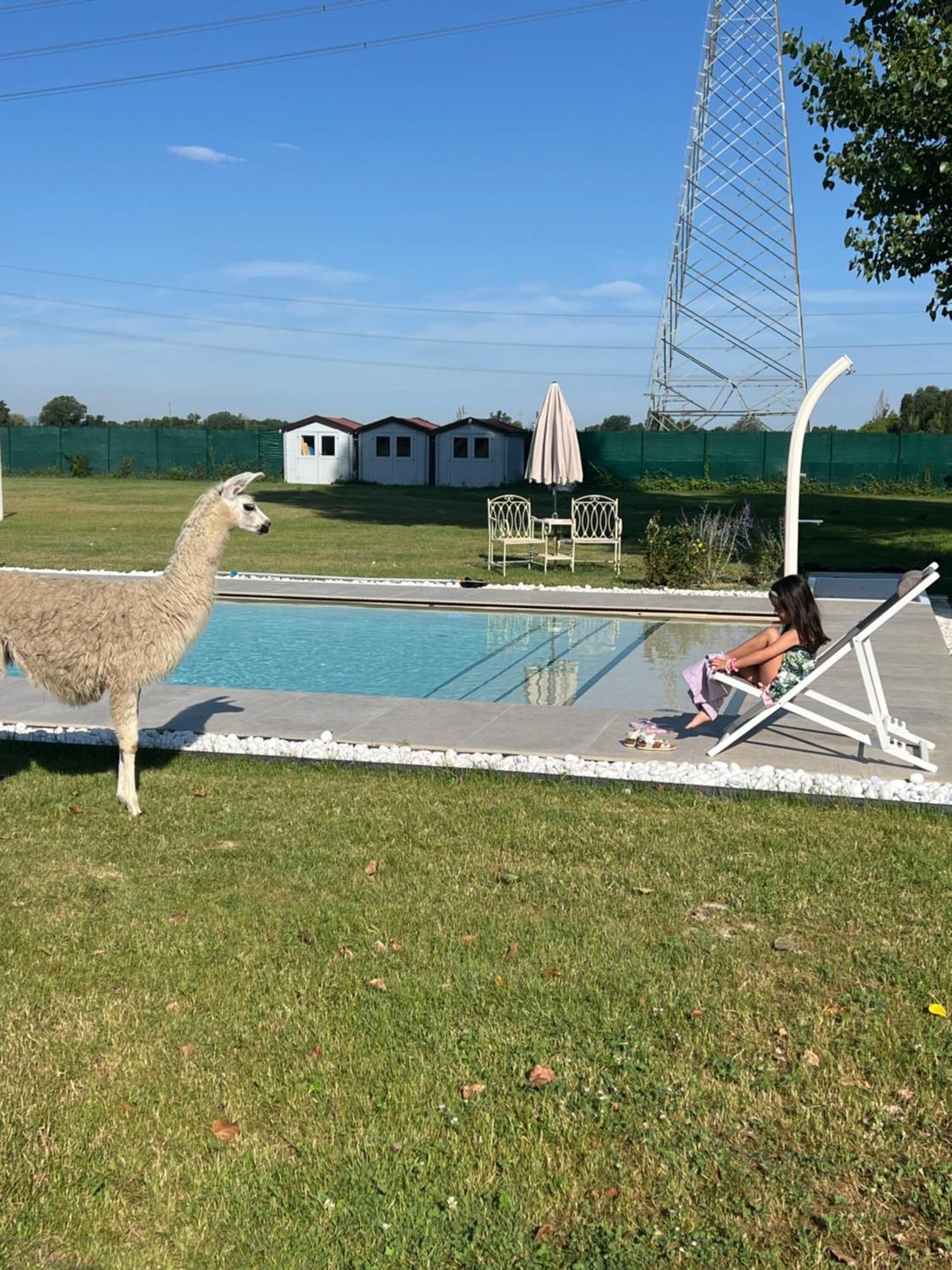 Villa Iris Modena Zewnętrze zdjęcie